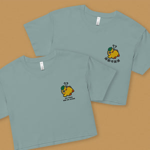 Sik Teng Mm Sik Gong Embroidered Crop T-Shirt - Ni De Mama Chinese - Inspired Clothing | Romanization , Teal