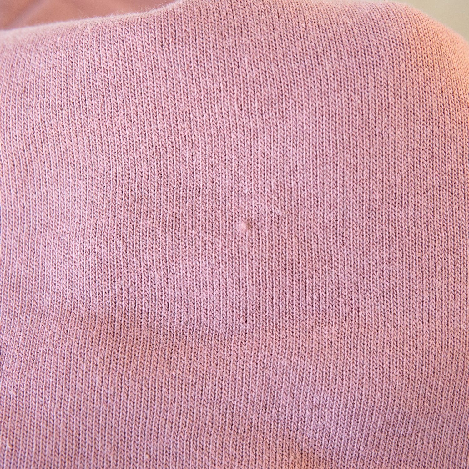 Xiao Long Bao Embroidered Crop Sweatshirt / Imperfect (Final Sale) - Ni De Mama Chinese - Inspired Clothing | Mauve , S