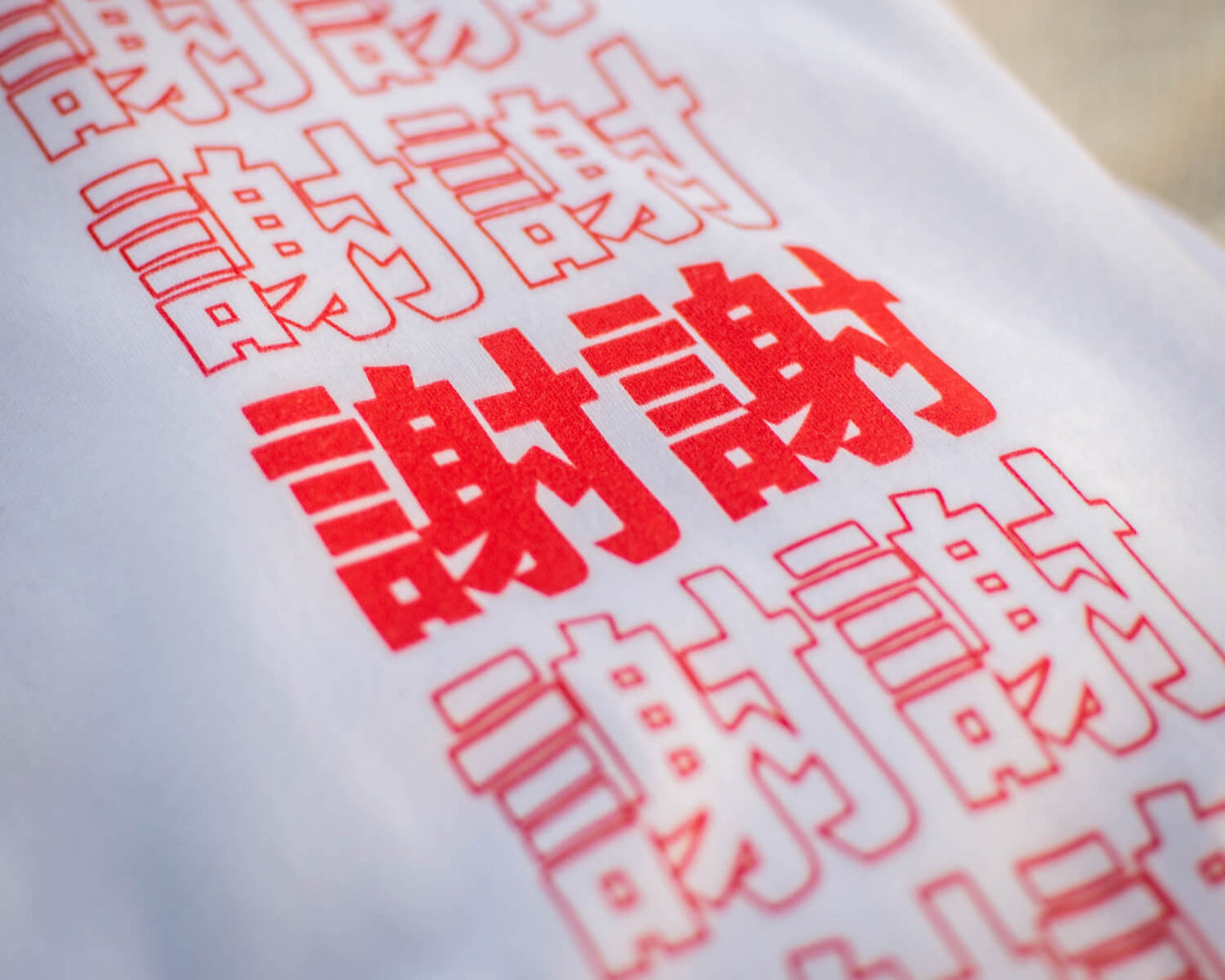 谢谢 / 謝謝 Thank You